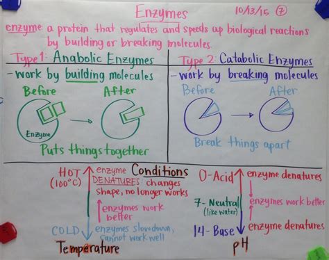 Scientific Gladiators: Chart Examples - Biology by Mrs. Paul