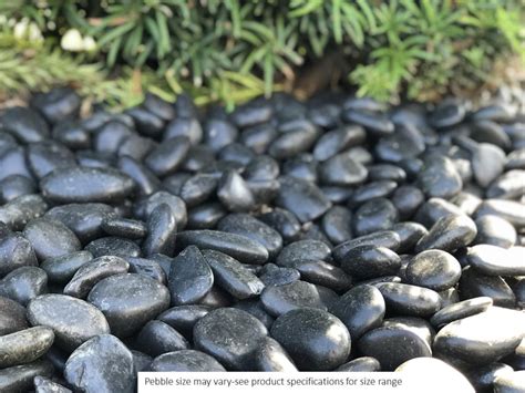 Black Decorative Pebbles Sydney Shelly Lighting