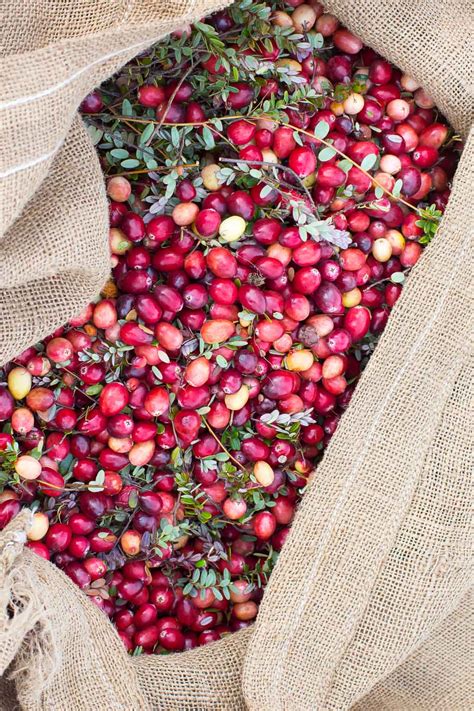 The Cranberry Harvest — Nourished Kitchen