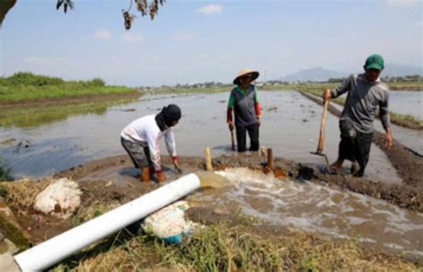 Bangun Jaringan Irigasi Upaya Banyuasin Tingkatkan Produksi Pertanian