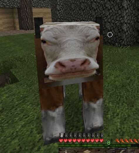 Minecraft In Stunning True 4k Mascotas Memes Fotografías Divertidas