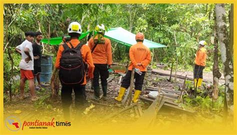 Nenek Tahun Hilang Misterius Di Hutan Pontianak Times