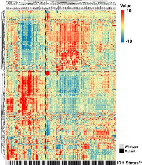 Idh Mutation Specific Radiomic Signature In Lower Grade Gliomas