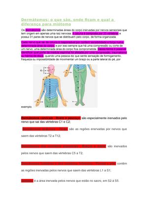 Roteiro Morfologico Anatomia ROTEIRO MORFOLOGICO POSIO ANATMICA