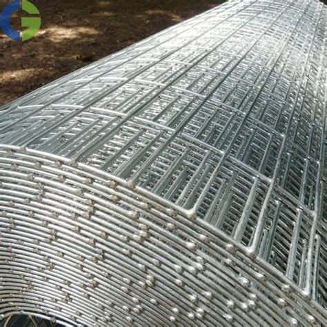 Hot Dipped/Electro Galvanized Welded Mesh Panels/Sheets or Rolls in China