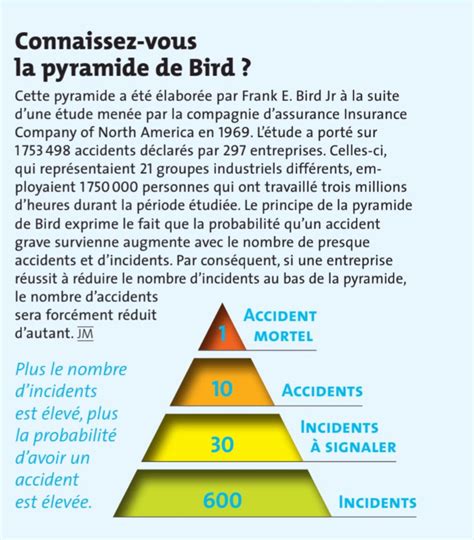 Dp Pyramide De Bird Notes Du Cours 3035503 Studocu