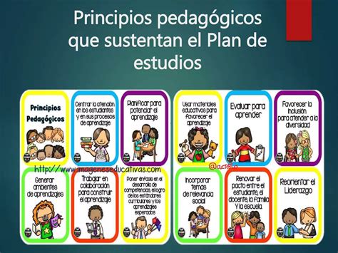 Los Principios Pedagógicos Del Plan De Estudios Del 2011 Ppt