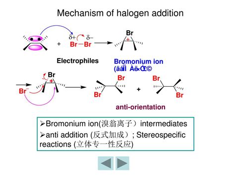 Ppt Chapter 5 Alkenes Powerpoint Presentation Free Download Id 7013489