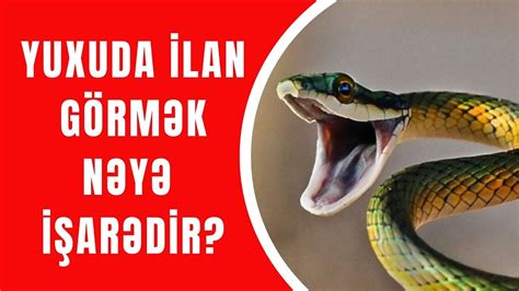 Yuxuda ilan görmək haqqında bilmədikləriniz Mütləq İzlə YouTube