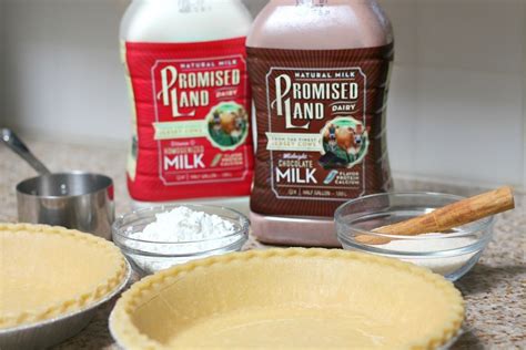 Mexico in My Kitchen: Chocolate Milk Pie & Milk Pie Recipe |Authentic ...