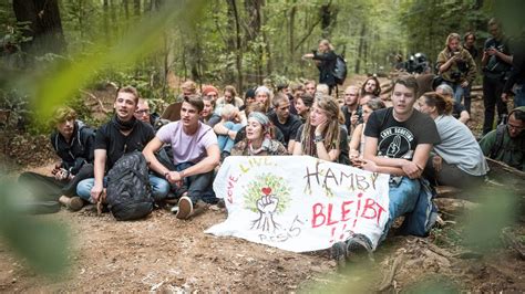 Räumung im Hambacher Forst Bewegende Rede einer jungen Aktivistin geht