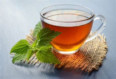 7 Herbal Infusion Tea Benefits You Need To Know