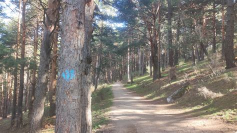 Ruta Camino Del Agua En Cercedilla Tu Gu A Outdoor De Senderismo Y