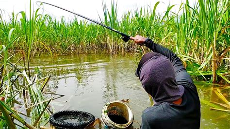 MANCING NILA LIAR DI SPOT AIR JERNIH Ikannya Babon Babon YouTube