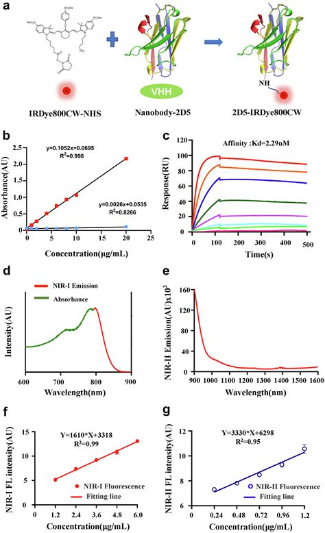 Nir Ii Fluorescence Imaging Guided Colorectal Cancer Surgery Targeting