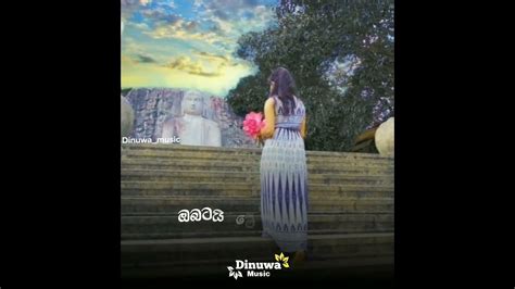 Obatai Me Aradana ඔබටයි මේ ආරාධනා Sinhala Whatsapp Status Lyrics Video 2022 Shorts Youtube