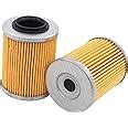 Amazon MOTOKU Pack Of 2 Engine Oil Filter For CF Moto Cforce