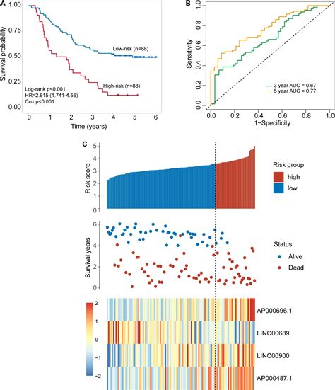 Frontiers Identification Of A Tlr Induced Four Lncrna Signature As A