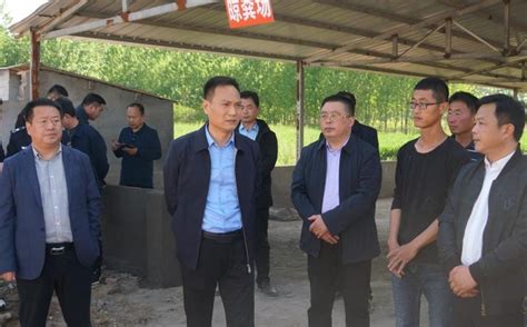 秦晓明调研中央环保督察交办问题整改工作砀山县人民政府