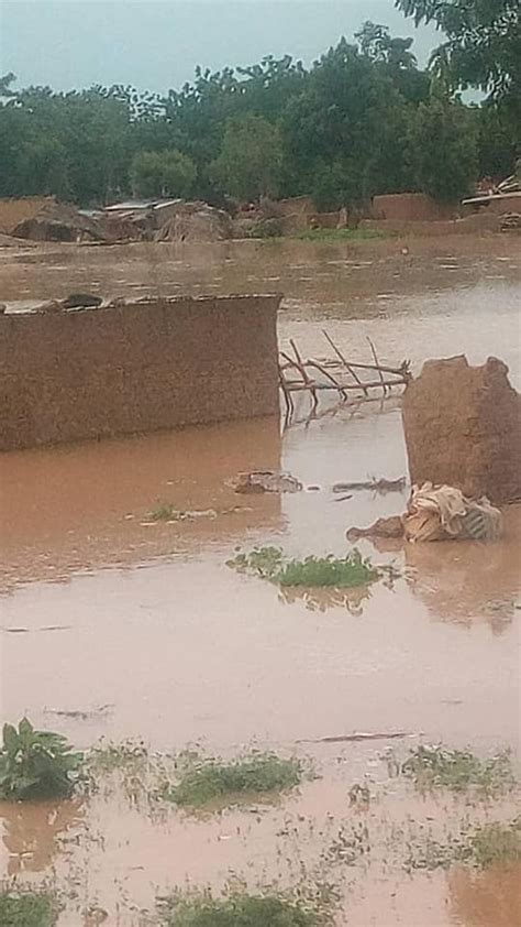 Flood Submerges Over Houses Destroys Farmlands Foodstuff In Yobe