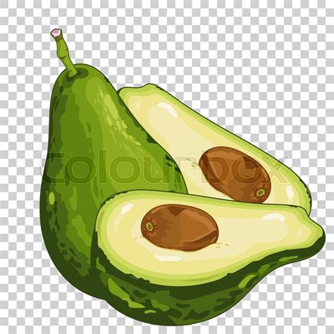 Avocado Icon 311430 Free Icons Library