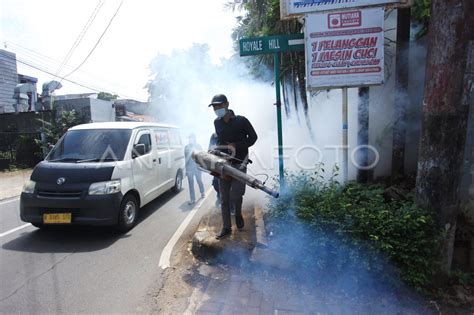 Pengasapan Cegah Dbd Di Jakarta Antara Foto