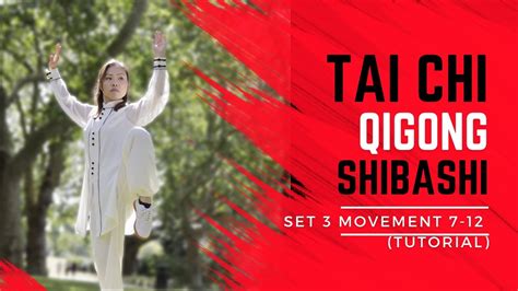 Tai Chi Qigong Shibashi Set Tutorial Movements Mirrored