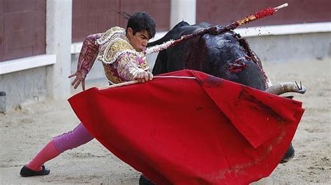 Pin En Notiferias Toros En Venezuela Y El Mundo