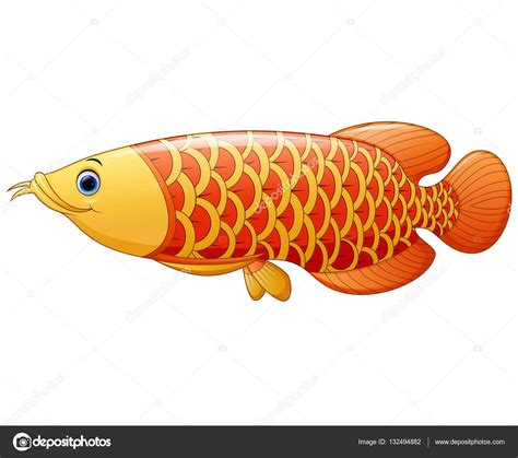 Arowana Pescado Dibujos Animados Vector Gr Fico Vectorial Dualoro