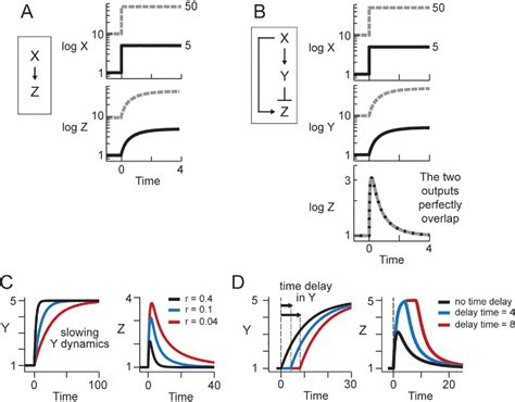 Figure 2 from The incoherent feedforward loop can provide fold-change ...