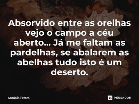 Absorvido Entre As Orelhas Vejo O Ant Nio Prates Pensador