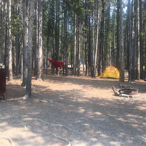 Best camping in Custer Gallatin National Forest | The Dyrt