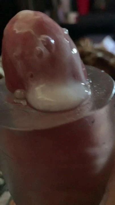 Cum With Sex Toy Gay Amateur Amateur Porn Feat Hugeloadcummer XHamster