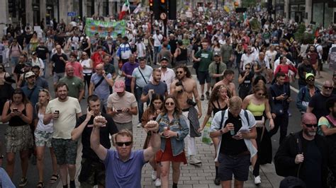 London Protests Nine Arrested During Day Of Demonstrations Bbc News