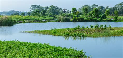 Kranji Marshes Wins Outstanding Award Of Excellence At Singapore