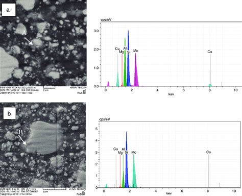 Sem Micrograph And Eds Analysis Of Aa Vol Mosi Composites After