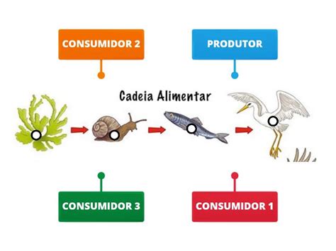 Cadeia Alimentar Ano Labelled Diagram