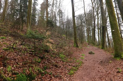 Ch Teau Du Falkenstein Kasteel In De Bossen Van De Noordelijke Vogezen