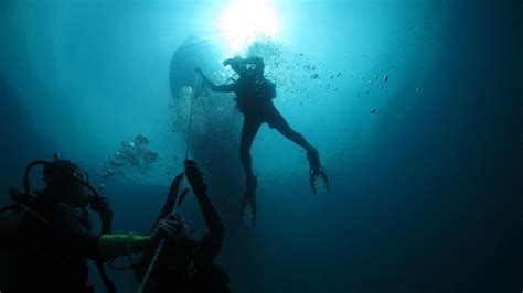 Dive Brunei & Rainforest Discovery II - Poni Divers Brunei