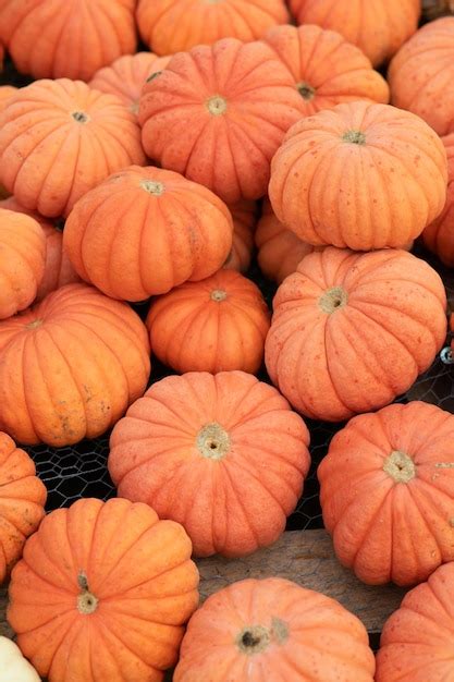 Premium Photo Orange Fall Pumpkins Preparing For Halloween Top View