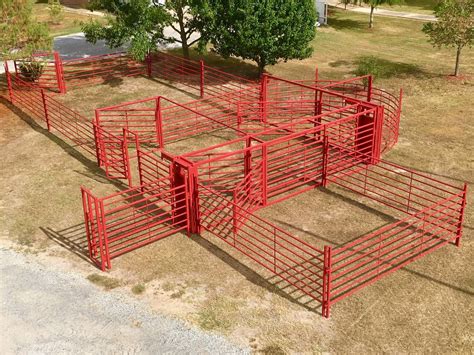 Custom Cattle Handling System 2 | BrinTough Equipment, Inc. Texas