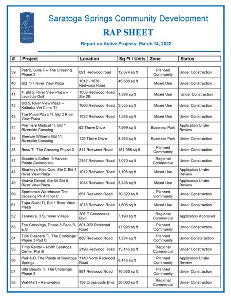 Rap Sheet Template