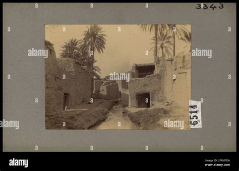 Stream and houses in a street in the oasis at Biskra Stock Photo - Alamy