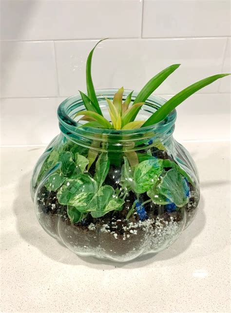 Make a Terrarium with Me | Easy DIY with Video! | Sprouts and Stems