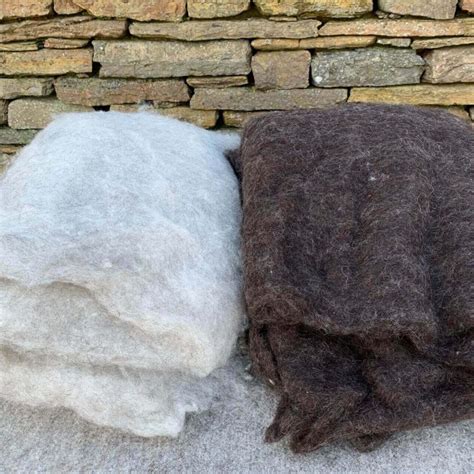 Wool Batts - Yarn from North Ronaldsay Sheep Orkney