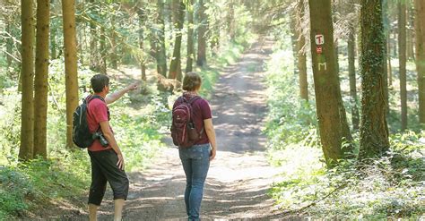 Terra Track Schmittenh He Bergfex Wanderung Tour Niedersachsen