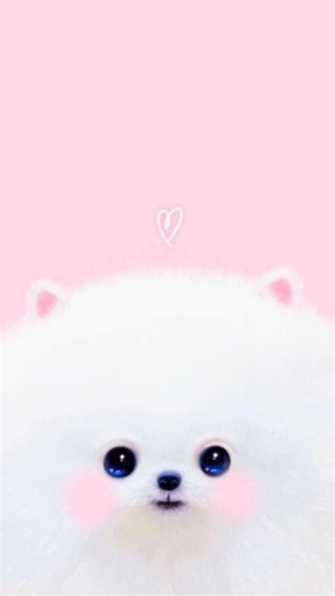 Pomeranian White Wallpaper - Pets Lovers