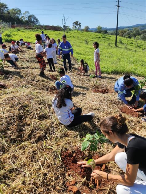 Alunos da Lídia Braga plantam mudas de árvores em comemoração ao Dia