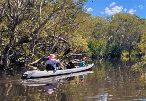 Noosa Southern Everglades Stingrays Self Guided Kayak Tour