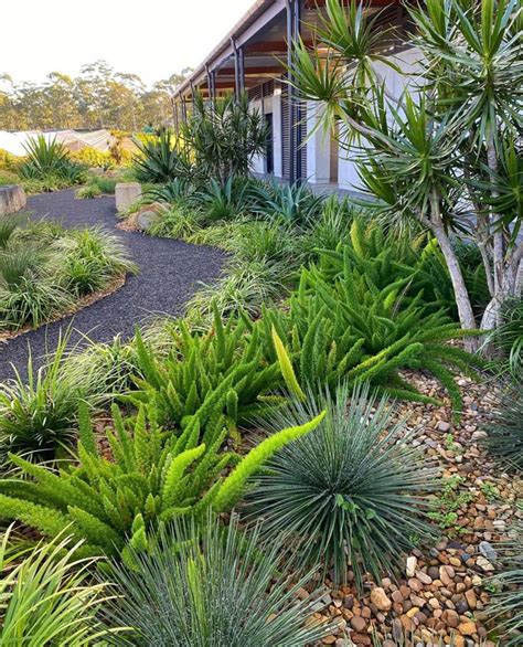 Pin by Cate King on Front Garden Final | Front garden, Plants, Garden